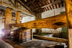 Vignoble et musée, le mas des tourelles à Beaucaire perpétue la tradition du vin à l'antique, de la conduite de la vigne jusqu'au vin lui-même.