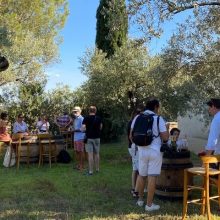 Apéritif provençal au Mas des Tourelles