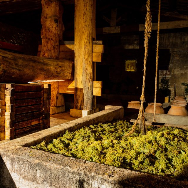 Journée de vendanges romaines
