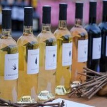 MARCHÉ GOURMAND AU MAS DES TOURELLES